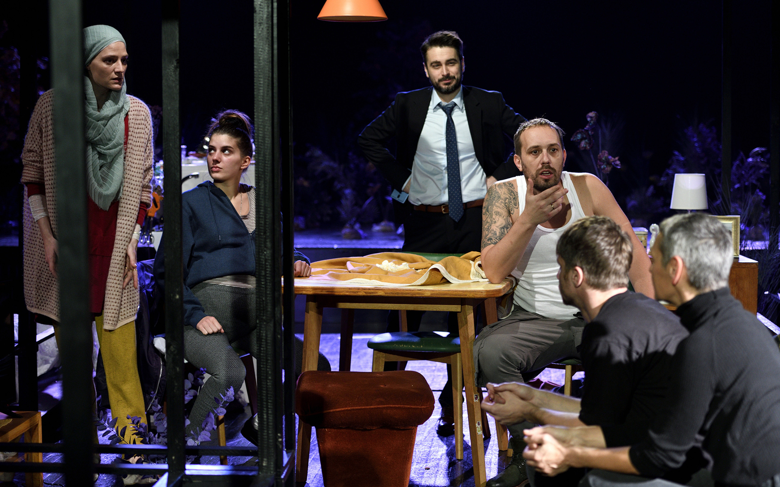 KT55 LJUBICASTA 2000x1250px foto Almin Zrno 01